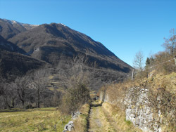 Via alla Santa (450 м.) - Грандола | Трекинг от Менаджо до векового дуба Роголоне